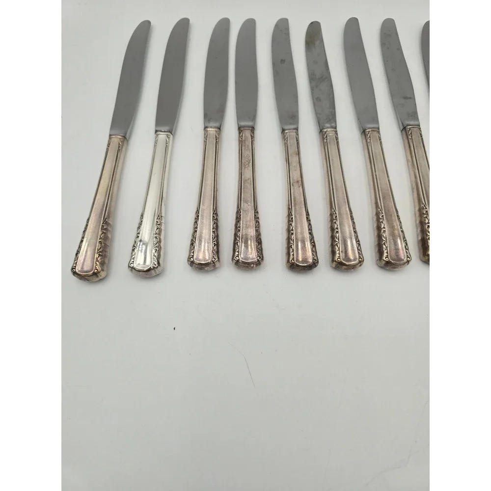 Holmes & Edwards May Queen Silverplate Dinner Knives Set of 10 Floral 9.25in